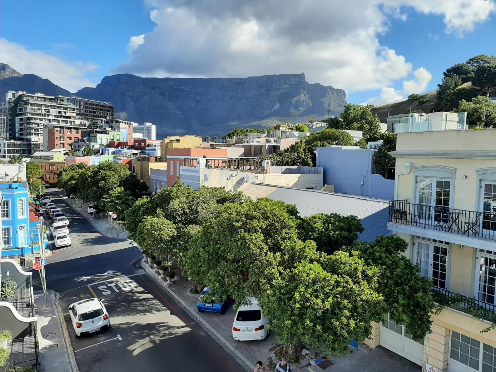 Purple House Cape Town